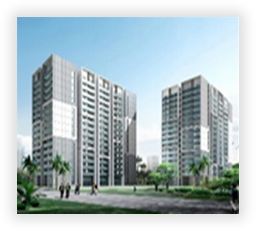 ��˾����